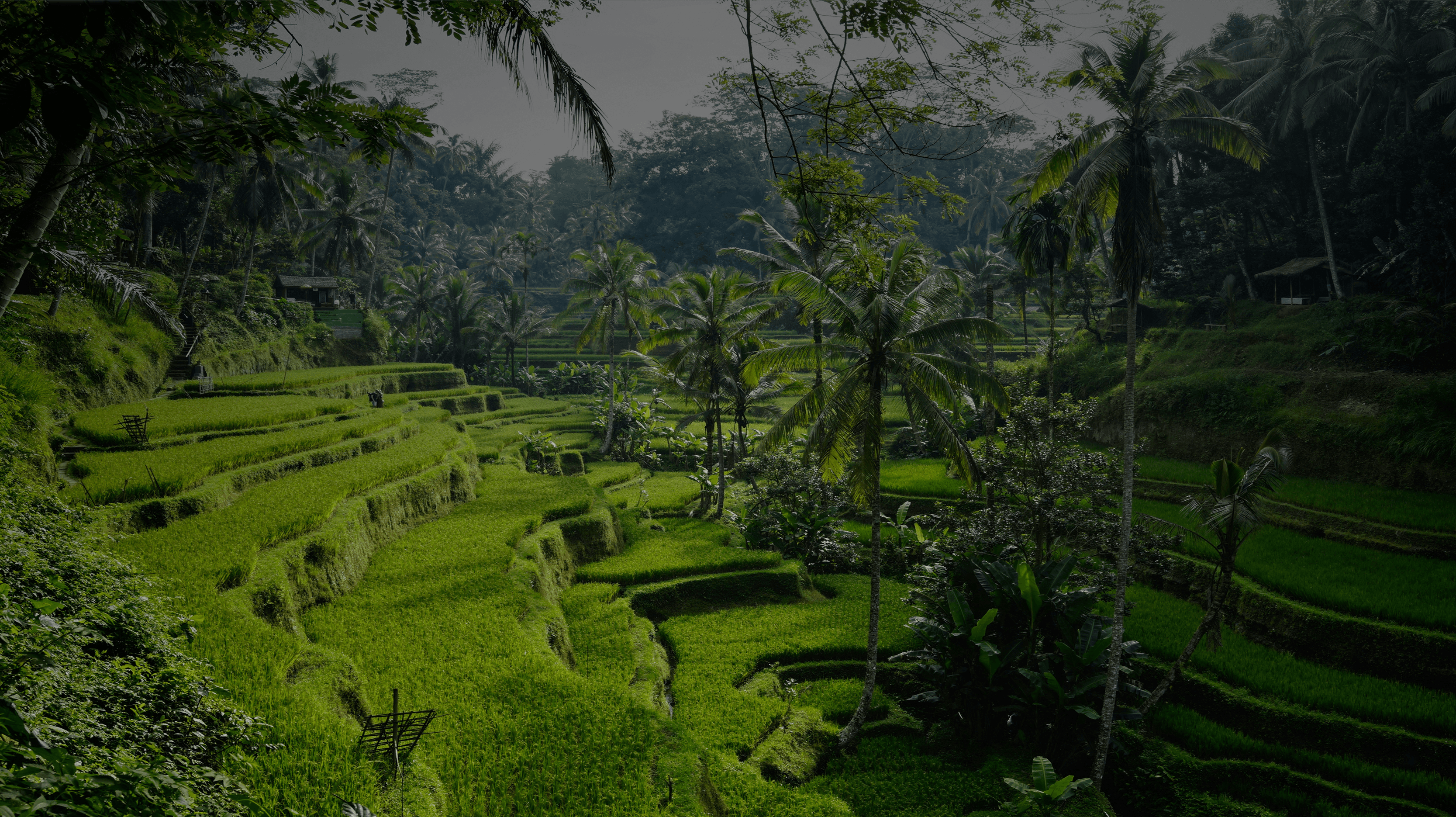Betah Holiday Bali Adventure